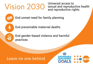 UNFPA Vision 2030 Goals - End unmet need for family planning, End preventable maternal deaths, End gender-based violence and harmful practices