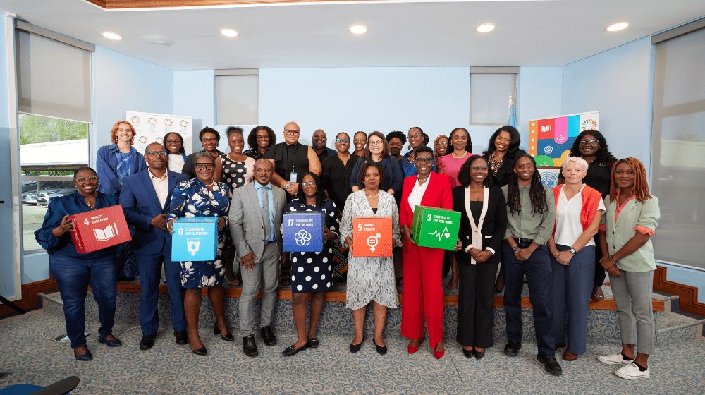 Group photo from Joint SDG Fund Project closing event