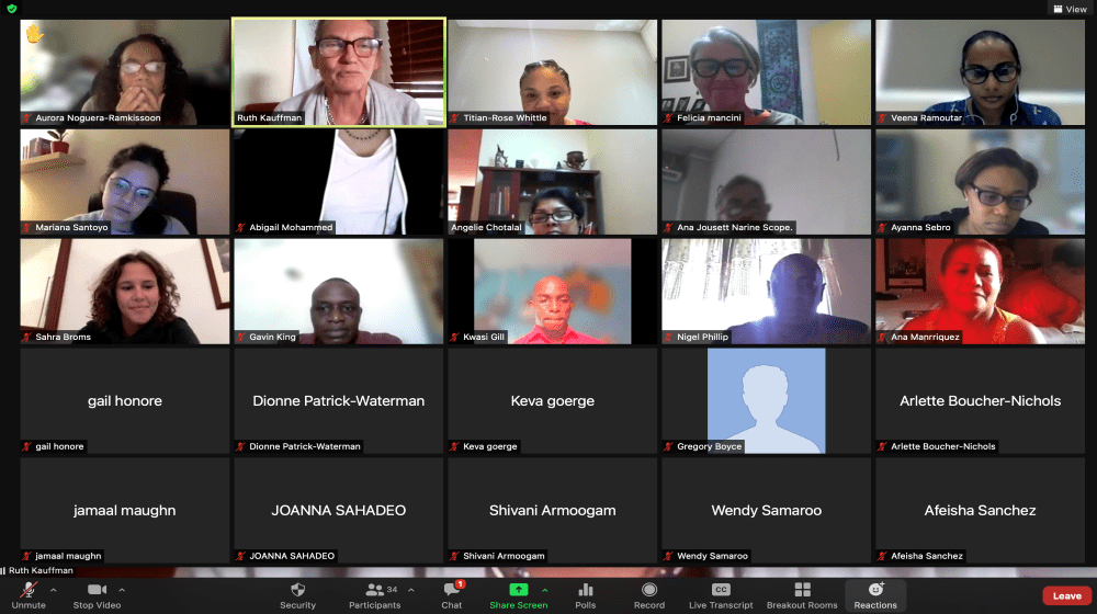 Image of participants in the virtual workshop that was held between October and November 2021 to address clinical management of rape (CMR) and intimate partner violence (IPV) in Trinidad and Tobago