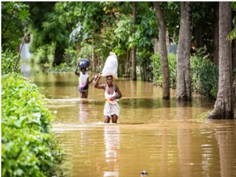 Hurricane Irma in the Caribbean – Humanitarian Action Fact Sheet